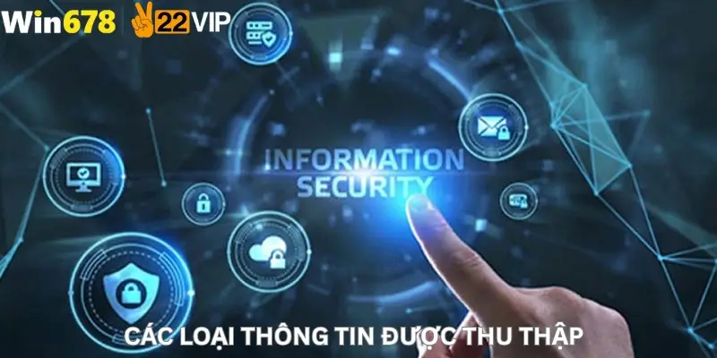 Các loại thông tin được thu thập