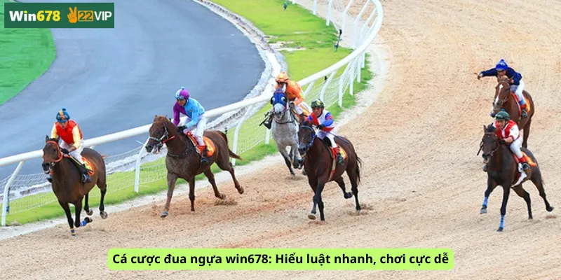 Cá cược đua ngựa win678: Hiểu luật nhanh, chơi cực dễ
